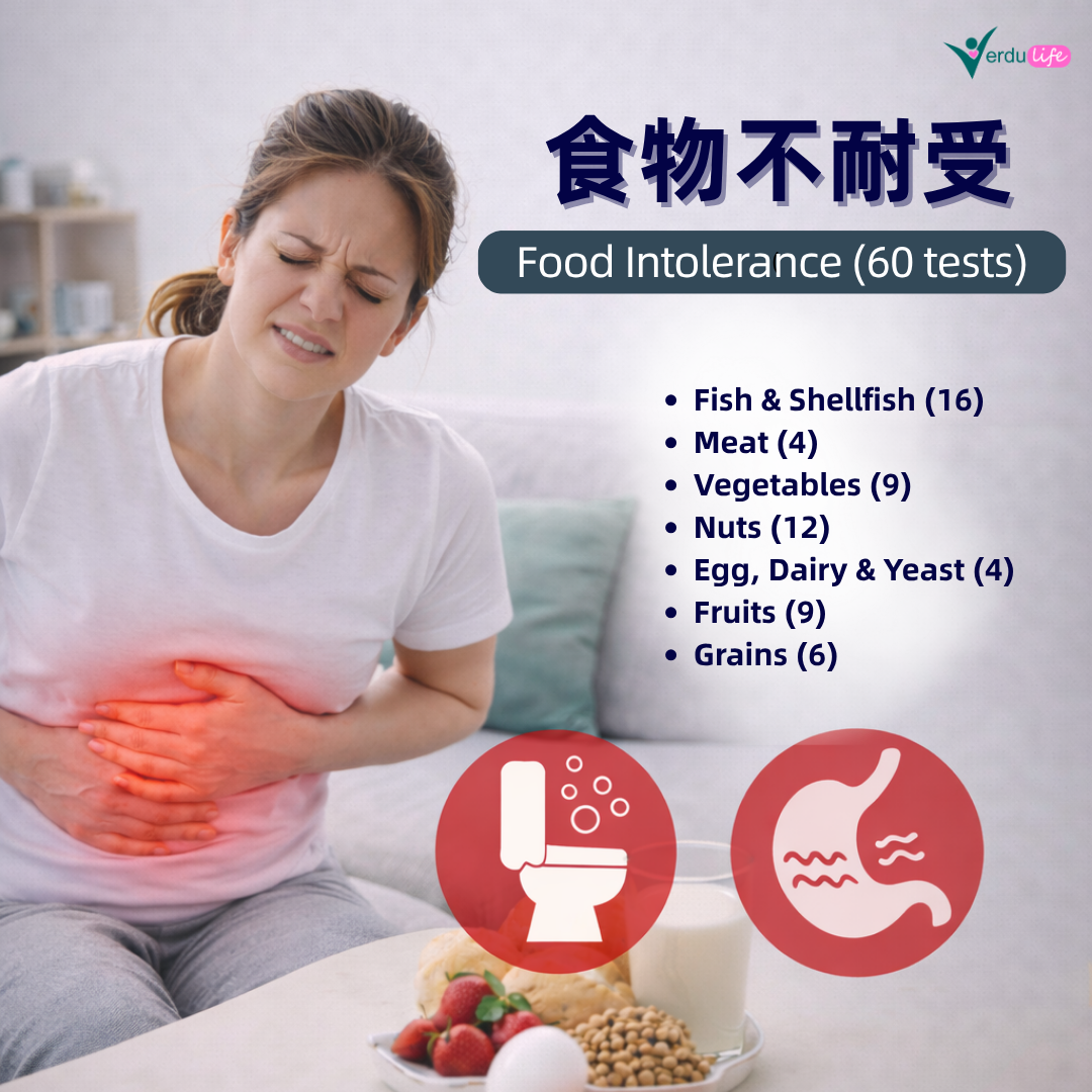 FOOD INTOLERANCE 食物不耐受 (60项)